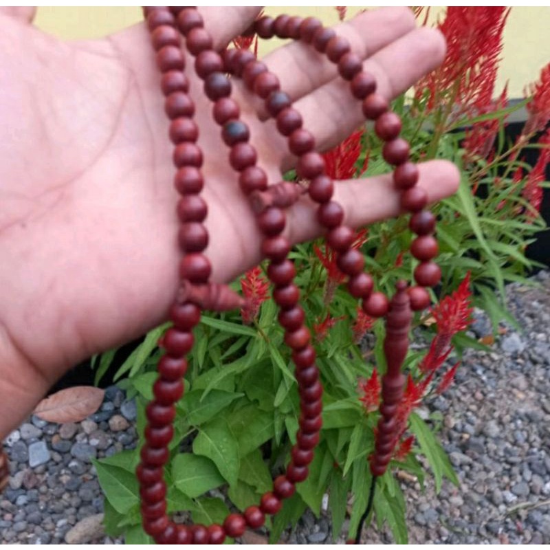 Tasbih nagasari 8mm tasbih tasbih murah souvenir tasbih galih nagasari tasbih nagasari asli cirebon
