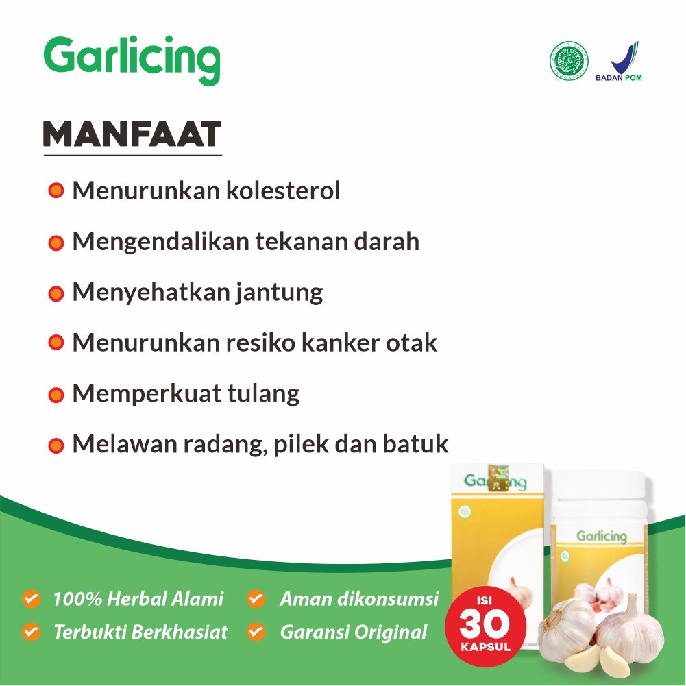 Garlicing - Ekstrak Bawang Putih Dayak Herbal Turunkan Kolesterol Kolestrol Cegah Kanker Diabetes Diabet Asam Urat Sehatkan Jantung Kendalikan Tekanan Darah Isi 30 Kapsul