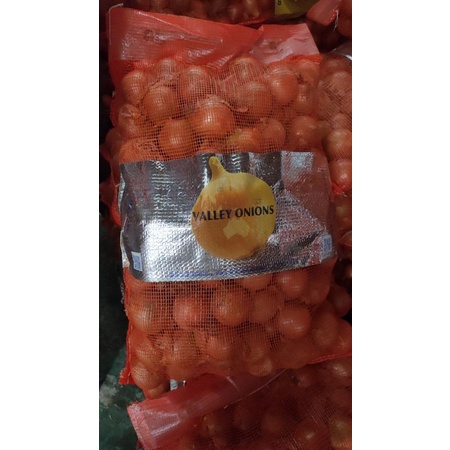 

bawang bombay ukuran 60/80 per 500g