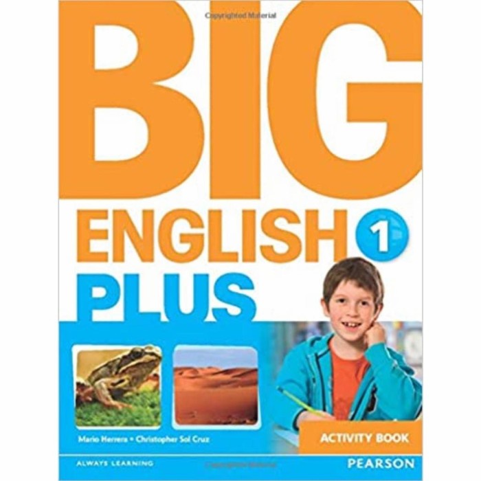Big English Plus 1 Pearson Book - ACTIVITY BOOK