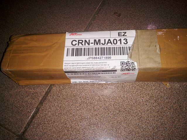 Tanaman Hias Bougenville Singapur Varigata Sudah Berakar. Bogenvile