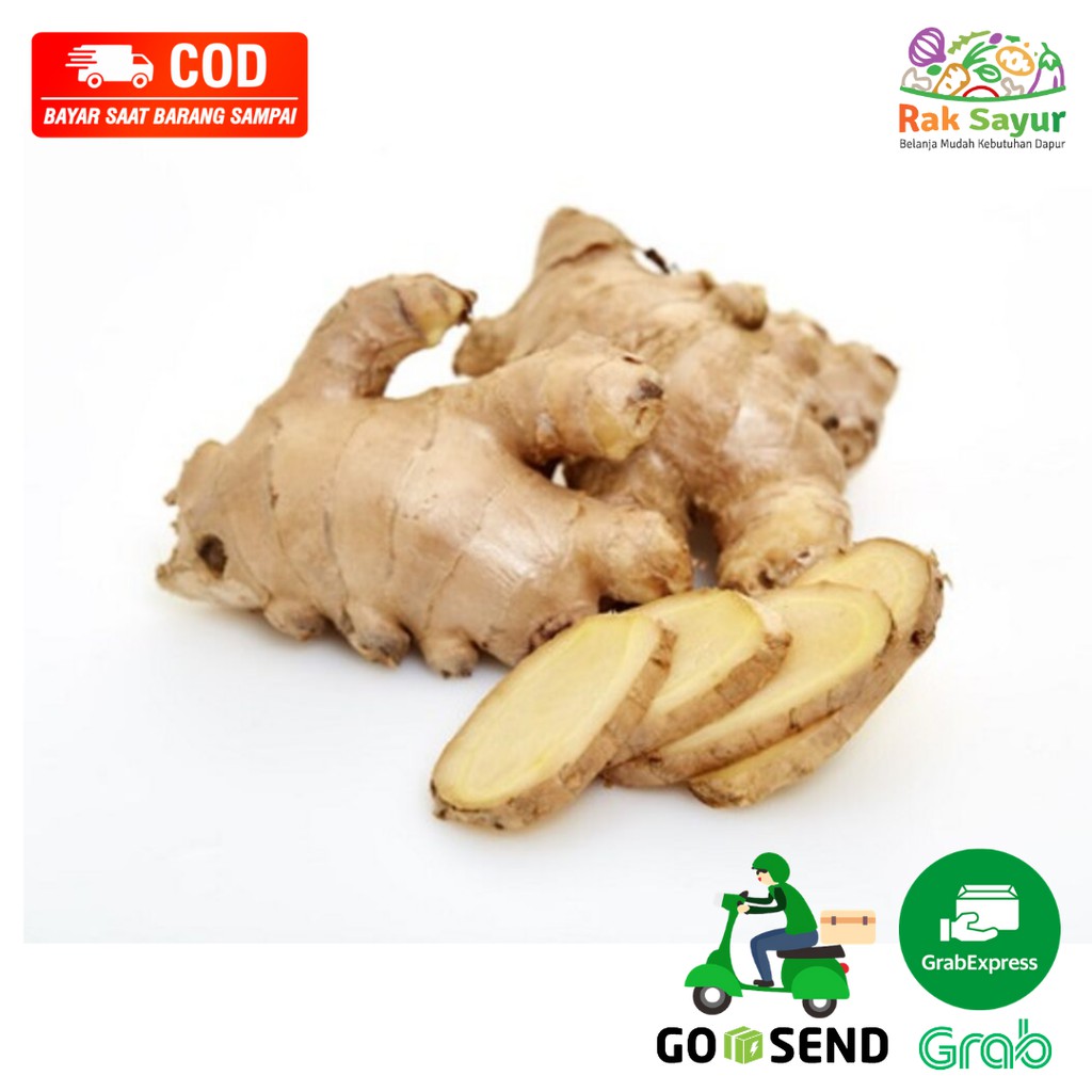 

Jahe Putih Gajah Bumbu Dapur 250gr Bahan Masak Masakan Rak Sayur Padang Fresh