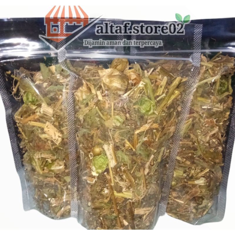ciplukan ciplukan kering kualitas terbaik cecendet kering| ciplukan kering |herbal diabetes reumatik