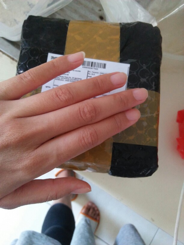 Grinder Mixer Serbaguna Genius Nicer Dicer Plus 3 Mata Pisau / Blender Cincang Daging, Bumbu, Bawang