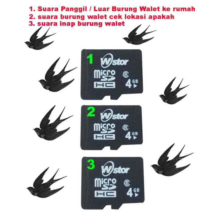 Suara Panggil Luar Burung Walet Suara Cek Lokasi Walet Dan