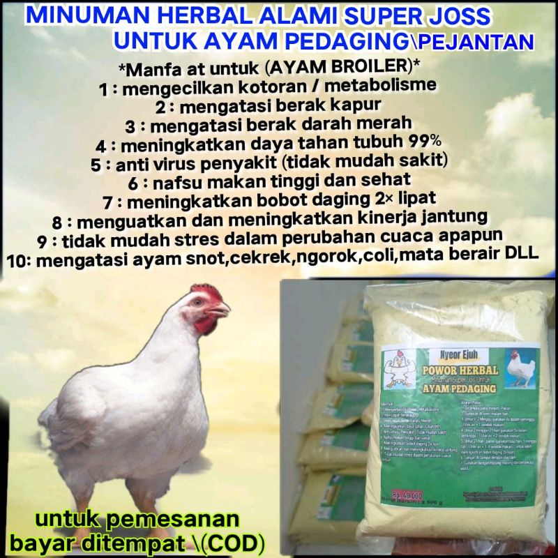 

Minuman tradisional ayam pedaging_nyeor ejuh