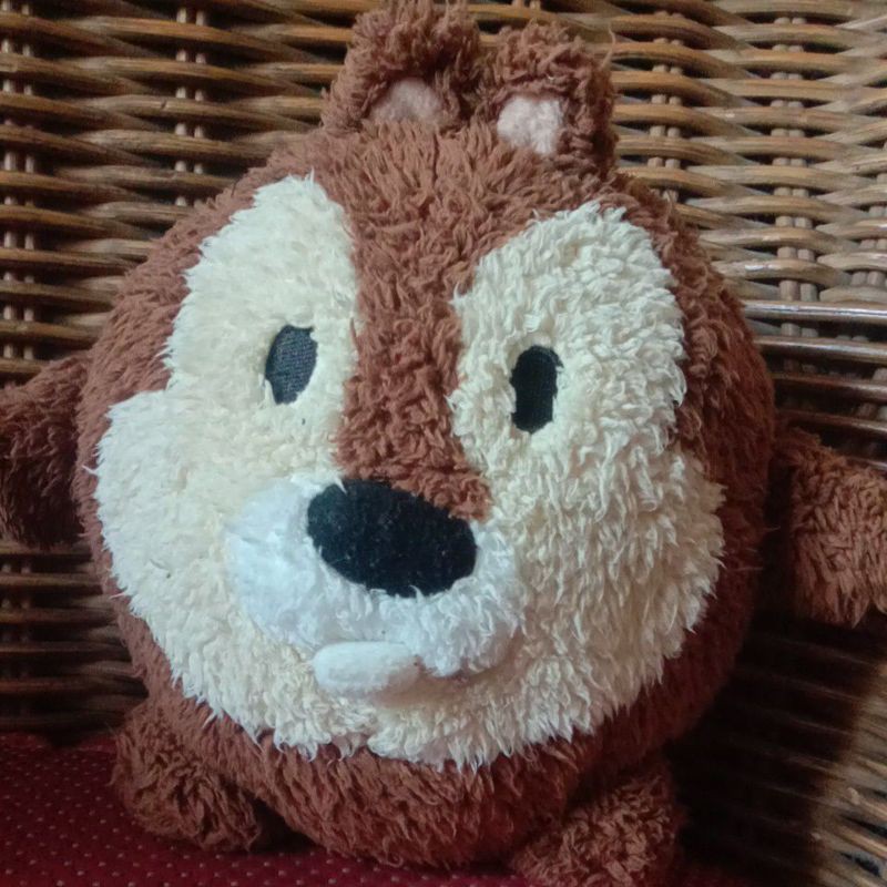 Tupai gembul brand disney