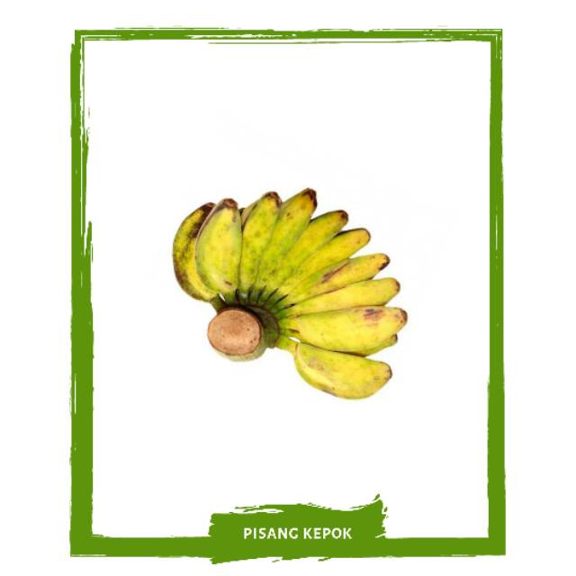 

Pisang Kepok / Buah Buahan Segar By Mallahrizwa