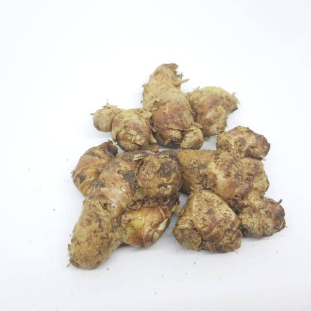 

Kencur lokal fresh 250gr
