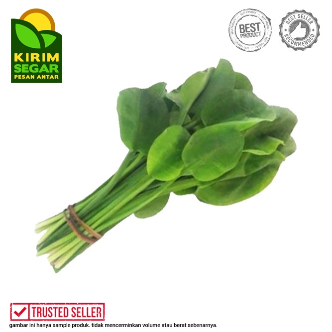 

Daun Genjer / Genjer Daun Segar / Genjer Segar / Perikat