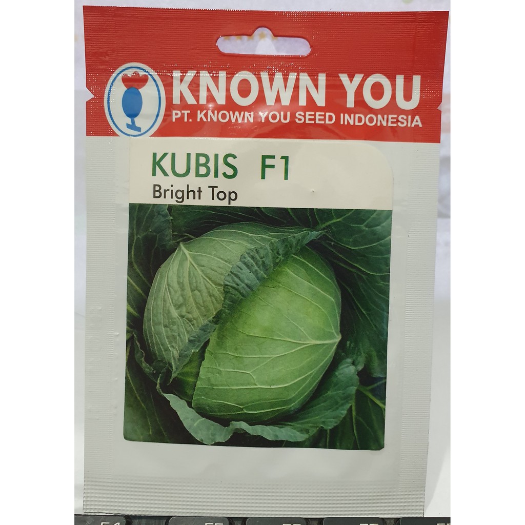 KUBIS BRIGHT TOP Benih Kubis hijau F1unggul bibit kol known you seed
