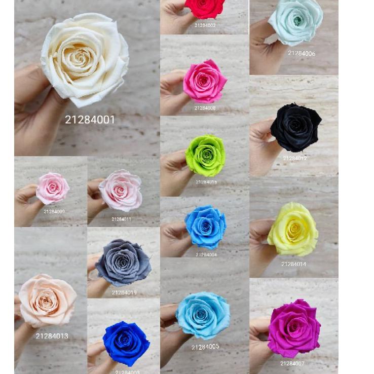 Murah Ekonomis 1 Kuntum Preserved Rose Size 4 5 Cm Seri Shopee Indonesia