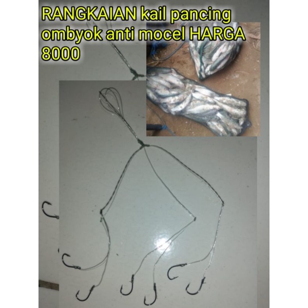 rangkaian kail pancing ombyok ikan belanak anti mocel