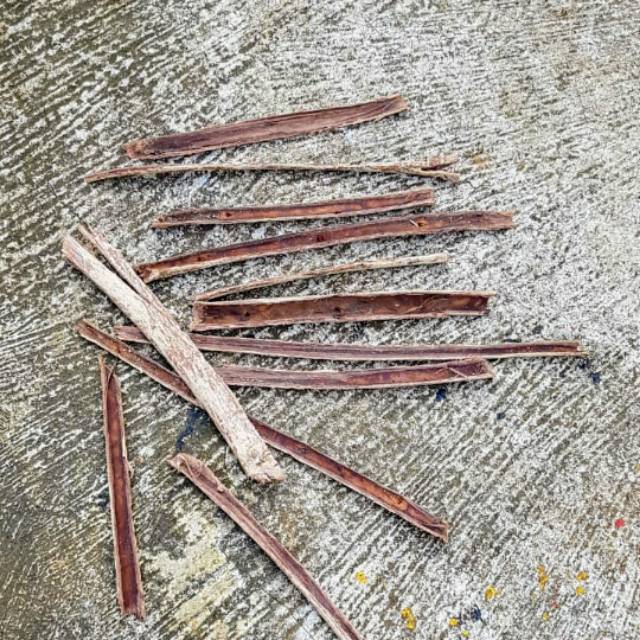 

Jual Kulit Pohon Duwet/Jamblang 100gr.