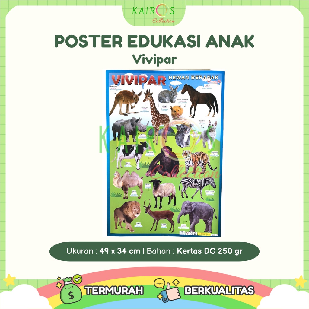 Poster Dinding Belajar Anak Vivipar Hewan Beranak