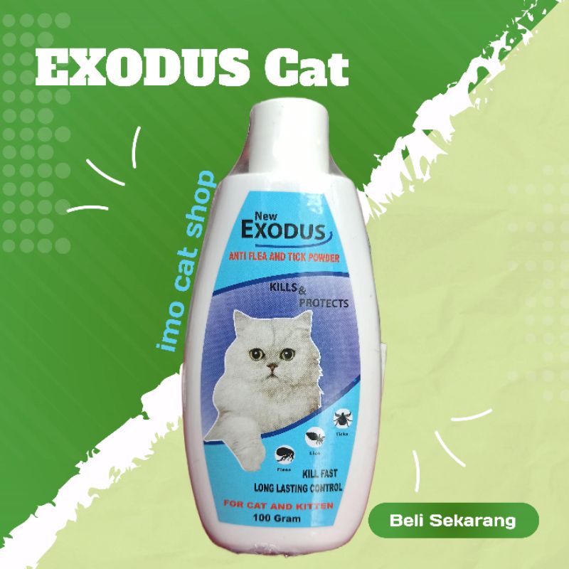 exodus bedak kutu hewan kucing anjing