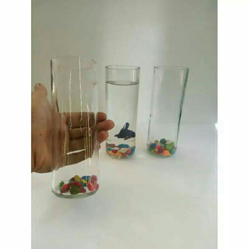 soliter ikan cupang tabung/akuarium mini, silinder slim// 1pcs