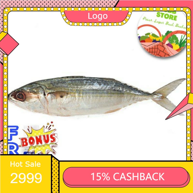 

RENGKEK SURABAYA - Ikan Kembung / Banyar / Selar Segar