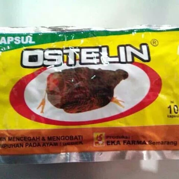 OSTELIN Obat Lumpuh Ayam