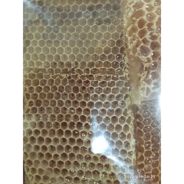 

Madu Sarang / Sarang Madu / Madu Sarang Asli/ Madu Asli/madu termurah/Madu terenak
