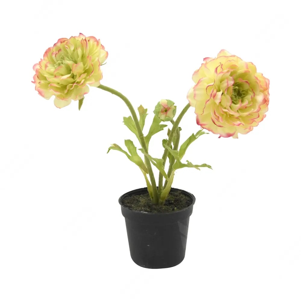 ACE Arthome 21 Cm Bunga Artifisial Ranunculus Dengan Pot