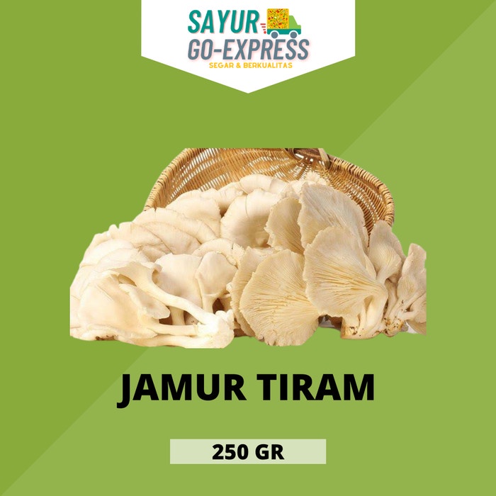 

jamur tiram mushroom segar fresh