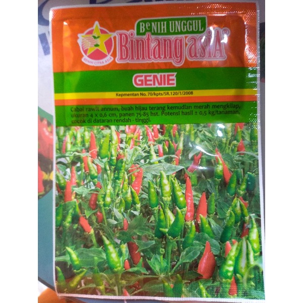 Benih cabe Rawit Genie 10g