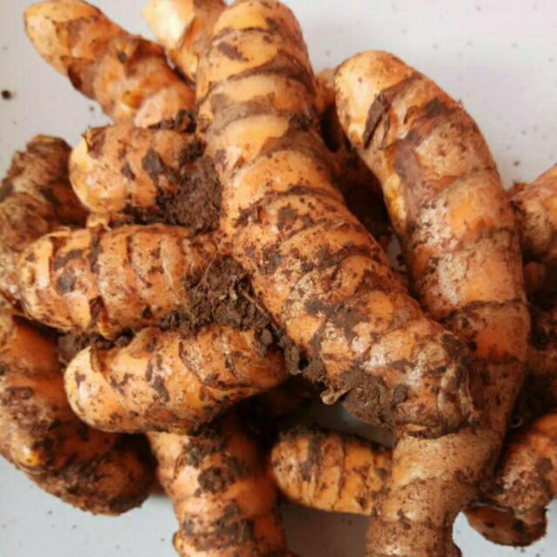 

BUMBU MASAK//KUNYIT UTUH 100 GRAM || SUDAH DICUCI BERSIH