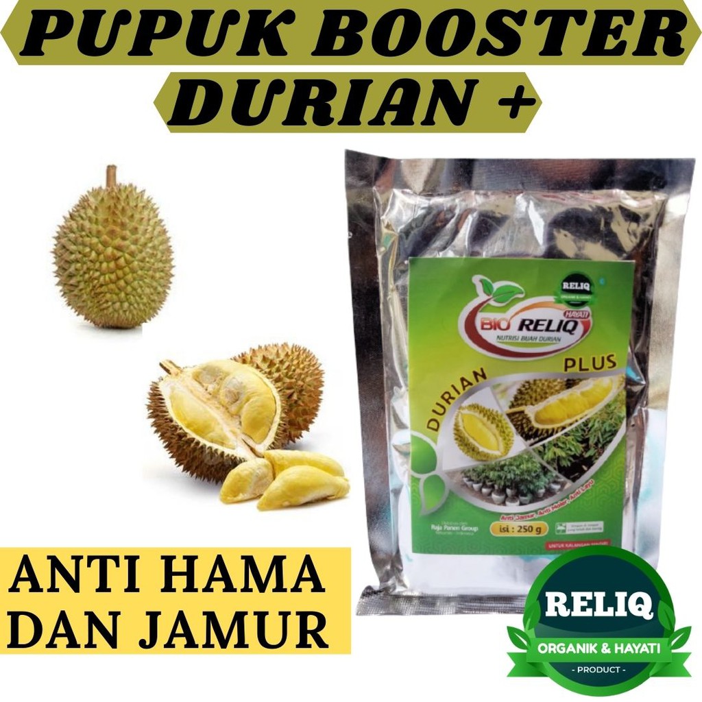 Pupuk Booster Hayati Pelebat Buah Durian, Perangsang Durian Agar Cepat Berbuah Lebat