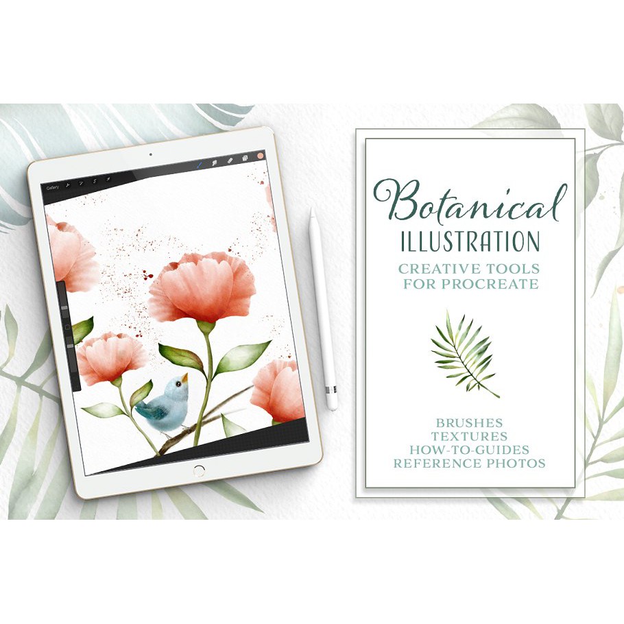 Procreate Brush - Botanical Illustration Toolkit For Procreate ( with Watercolor Canvas )