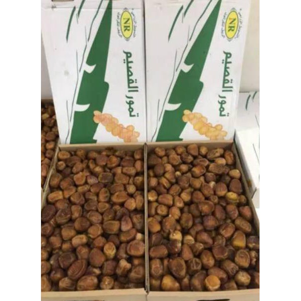 

Xr206 Kurma Sukari Basah Al Qasyim 1 Kg Cucuningwai