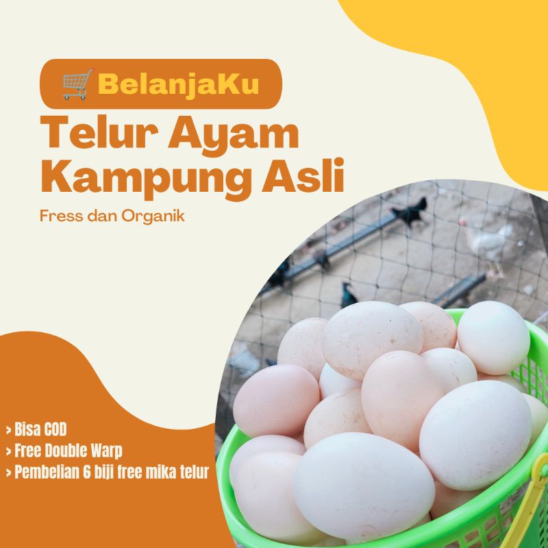 

Telur Ayam Kampung Super