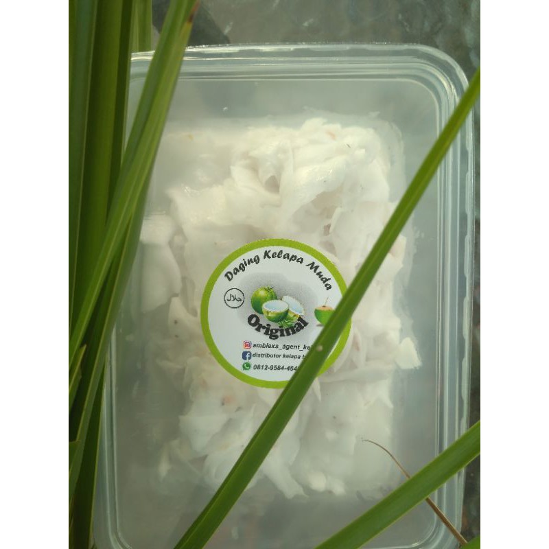 

Daging Kelapa 1 KG fress