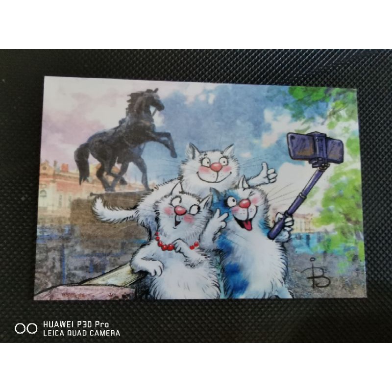 

kartu pos bluecat/bluecat postcard