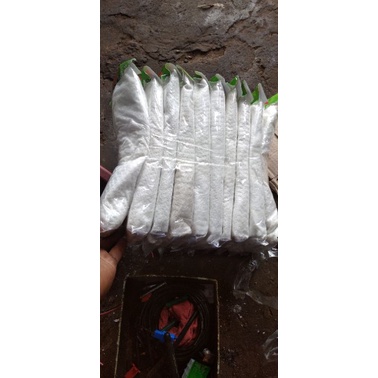 glasswol gaspul knalpot gaspol warna putih gaspool racing