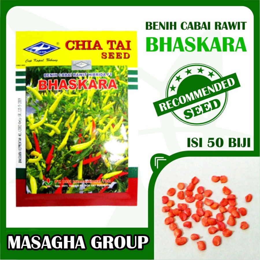 Benih Cabai Rawit Hibrida f1 BHASKARA