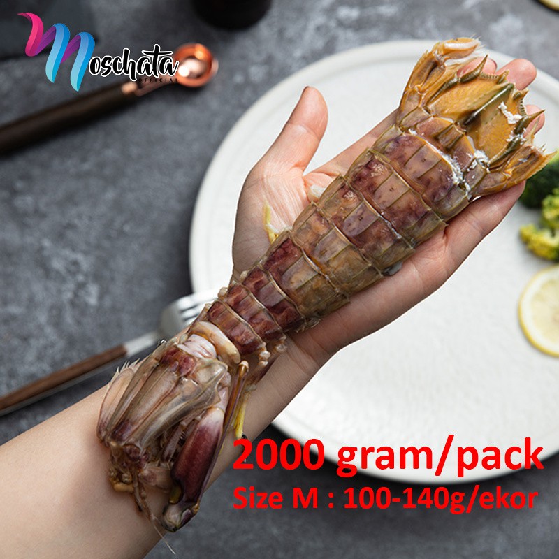 UDANG RONGGENG / UDANG FROZEN SIZE M 2000gr / UDANG MANTIS / GETAK / EIKO / MENTADAK / UDANG LIPAN