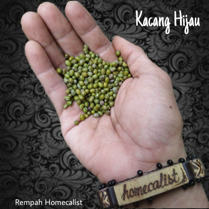 Kacang Hijau