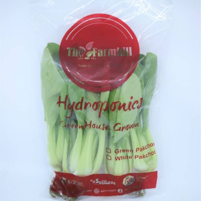 

Sayur greenpakchoi
