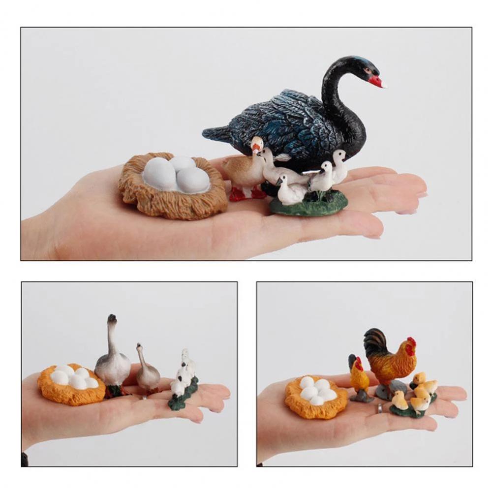 Needway Life Cycle Figure Science Kids Swan Model Hen Miniatur Mainan Edukasi Cycle Bebek Figurine