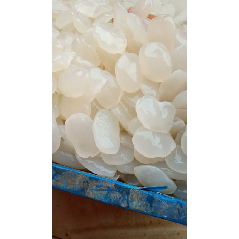 Kolang Kaling Super 1/2kg Kolang Kaling Medan