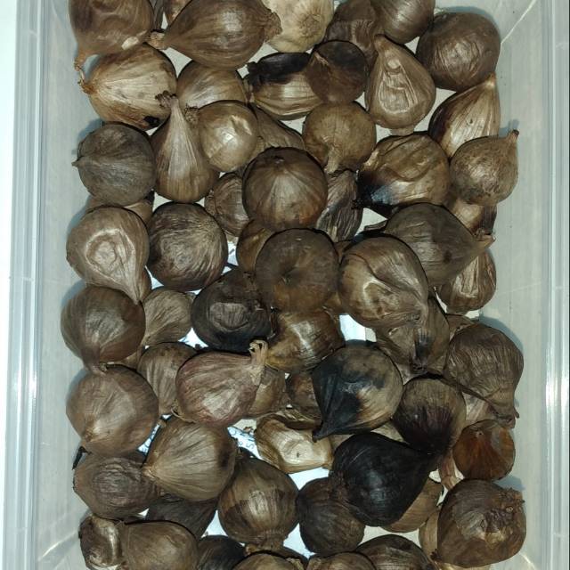 

Bawang Hitam Lanang