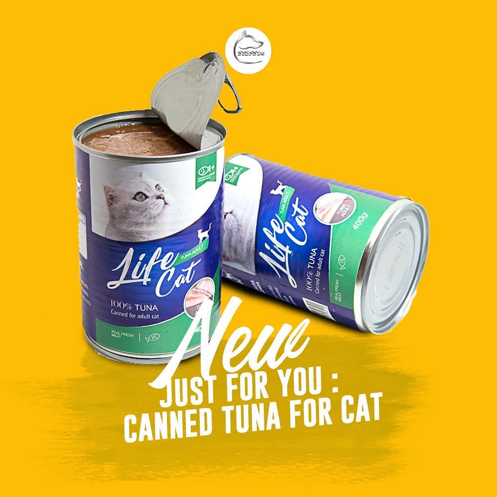 Kaleng Life cat kitten &amp; adult 400 gr makanan basah Cair Anak Kucing Dewasa Kaleng