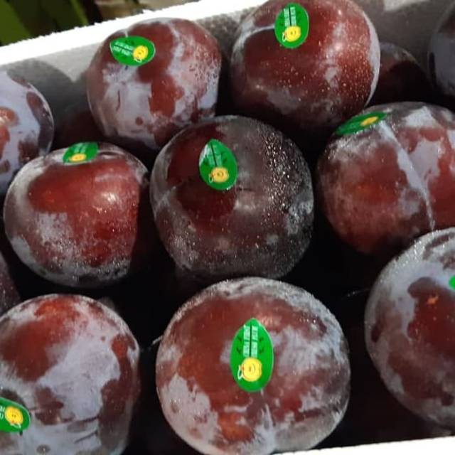 Buah Plum Segar 1kg