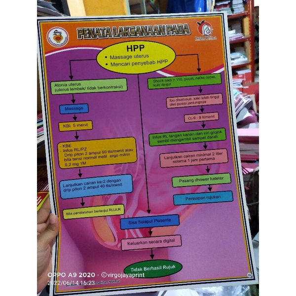 

(no 21) POSTER PENATALAKSANA PADA HPP
