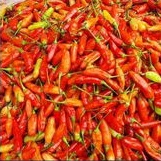 

cabe rawit merah 250gram
