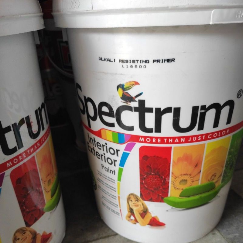 Cat Dasar / Alkali Spectrum Pail