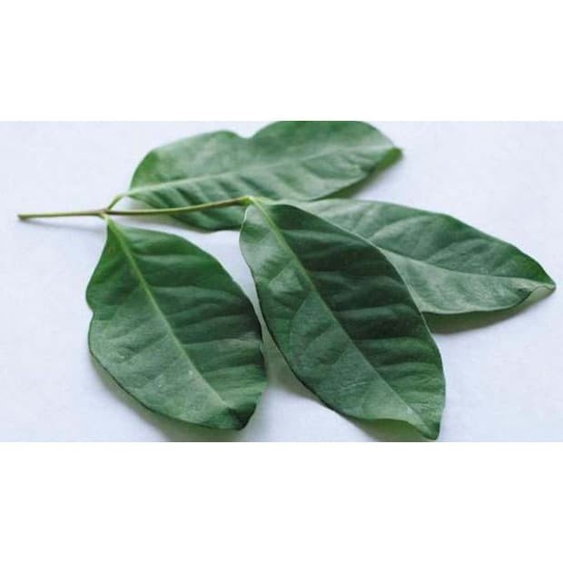 

Daun Salam ORGANIK 100gr