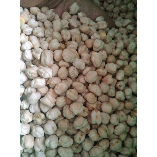 

chickpeas/kacang Arab 1kg