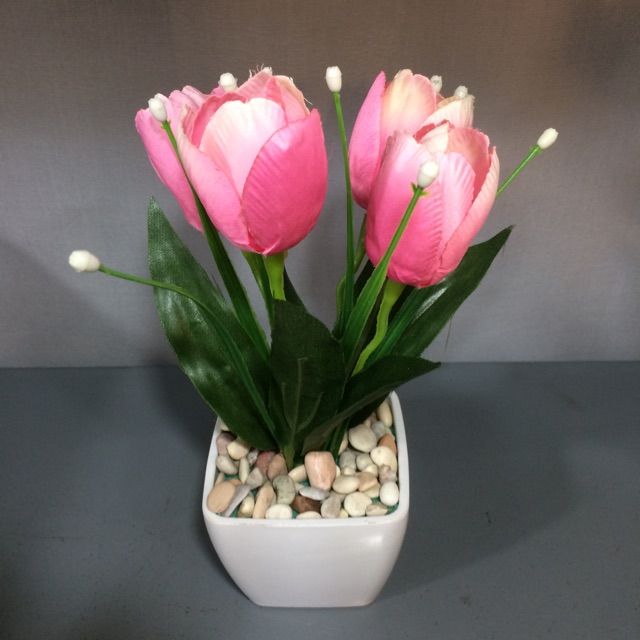 Bunga plastik tulip mini hiasa meja.